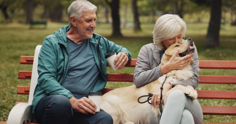 Dog, park and old couple on bench, hug and relationship with animal lover. Outdoor, pet and happy senior man with mature woman, bonding together and conversation with embrace, smile and retirement